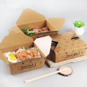 Takeaway Boxes