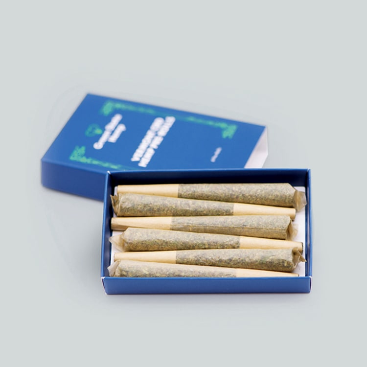 cannabis-cone-boxes4