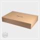 Letterhead-Boxes4